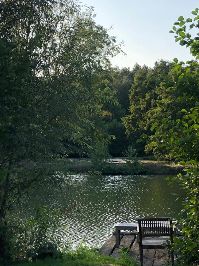 Bed and Breakfast La Francoisiere Loigne-sur-Mayenne Экстерьер фото