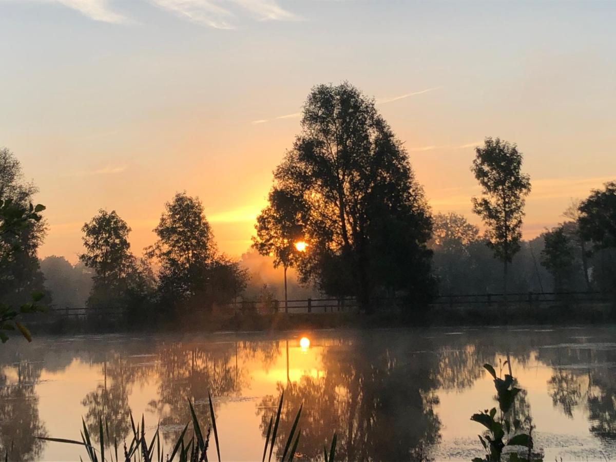 Bed and Breakfast La Francoisiere Loigne-sur-Mayenne Экстерьер фото