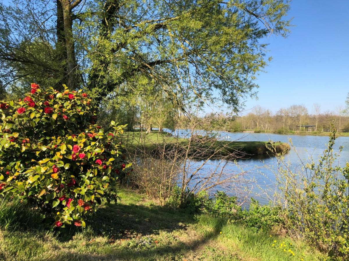 Bed and Breakfast La Francoisiere Loigne-sur-Mayenne Экстерьер фото