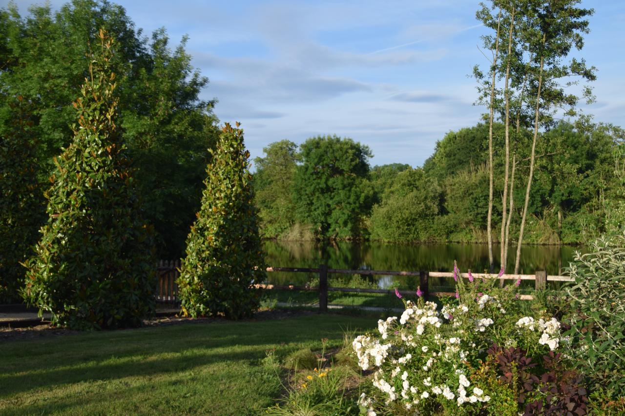 Bed and Breakfast La Francoisiere Loigne-sur-Mayenne Экстерьер фото